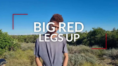 Big Red Legs Up